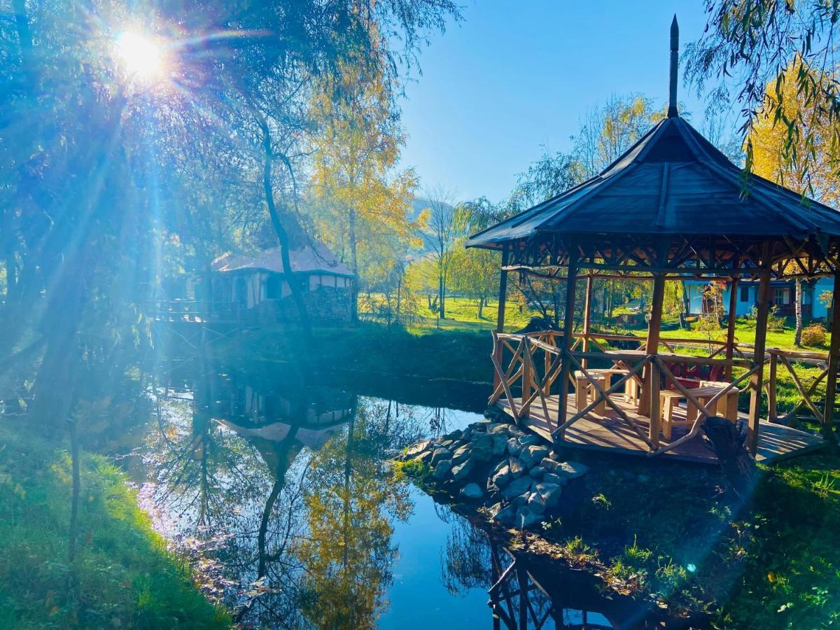 Viewtopia The Secret Land Valea Draganului Ngoại thất bức ảnh