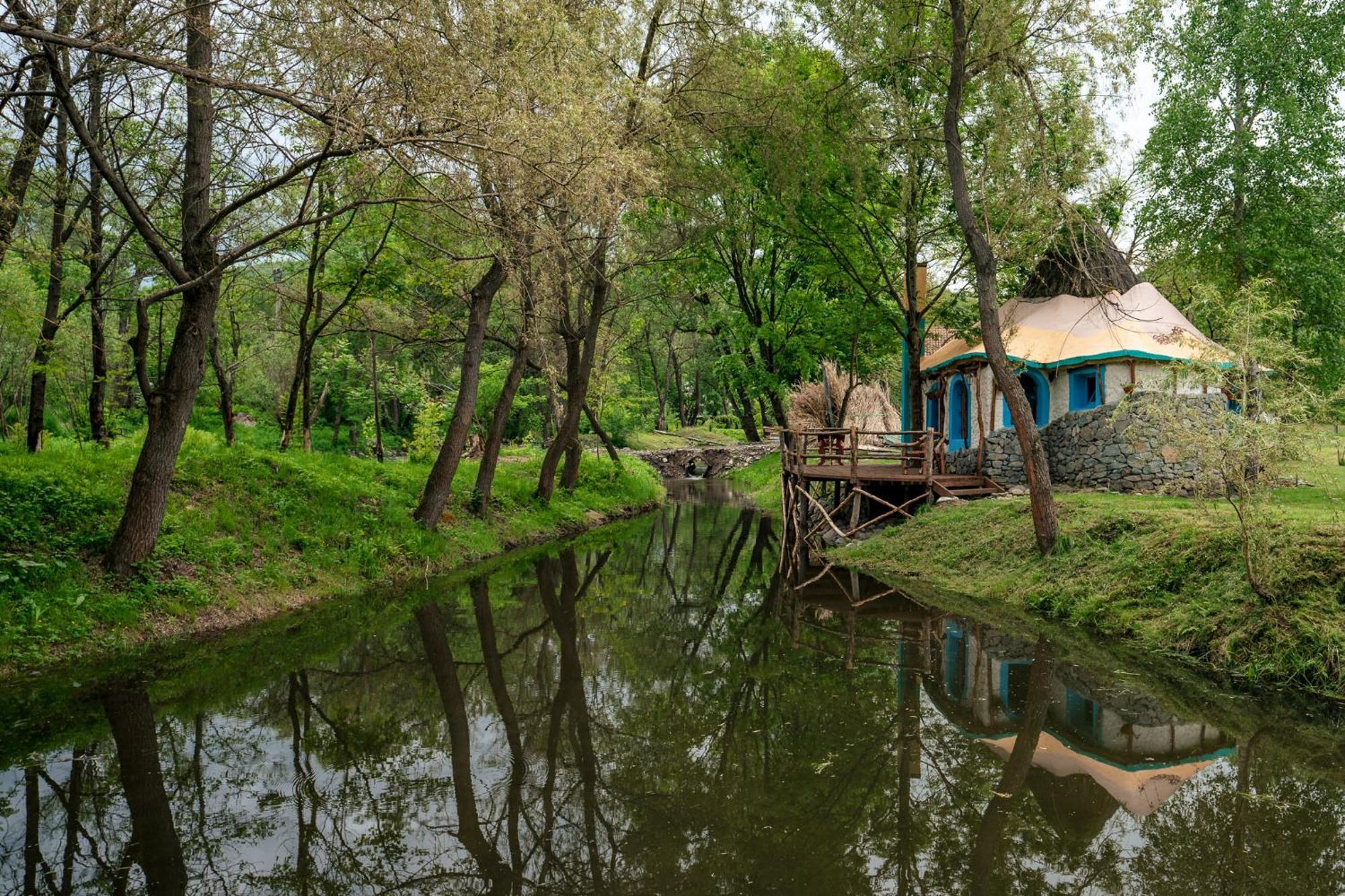 Viewtopia The Secret Land Valea Draganului Ngoại thất bức ảnh