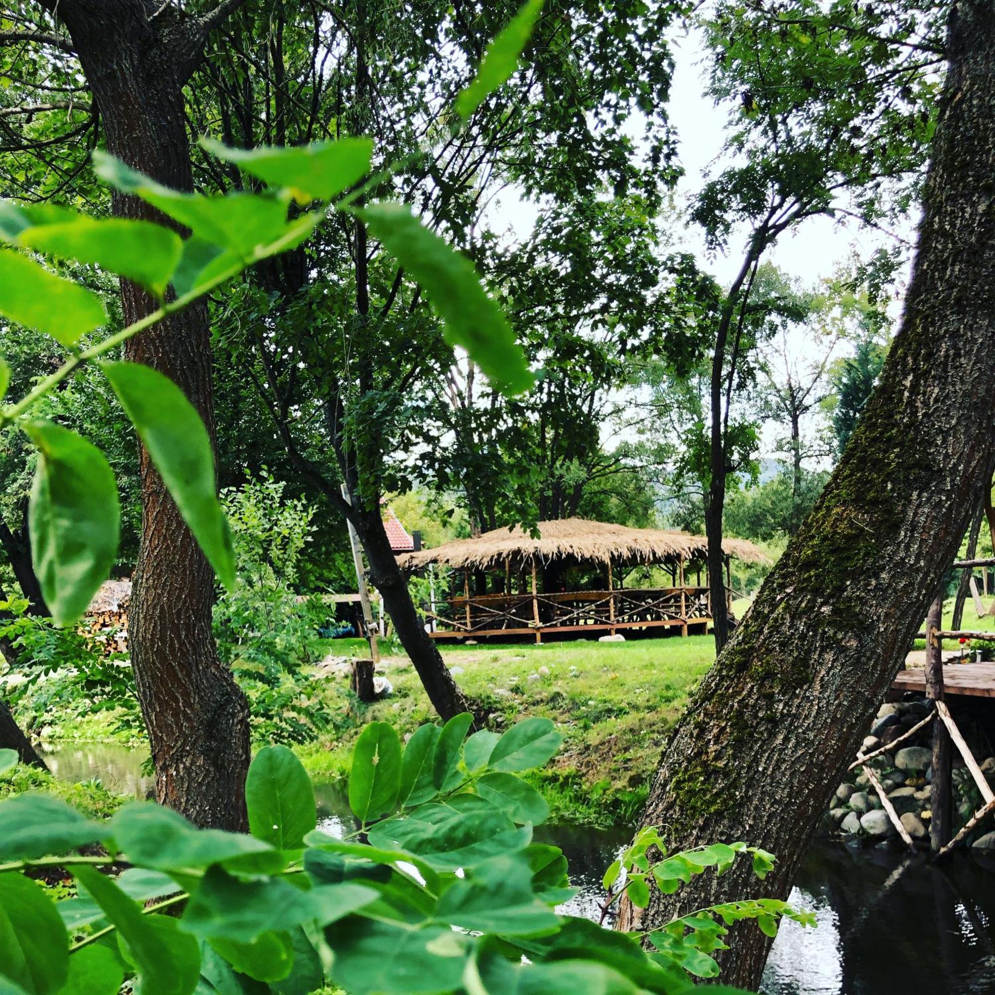 Viewtopia The Secret Land Valea Draganului Ngoại thất bức ảnh